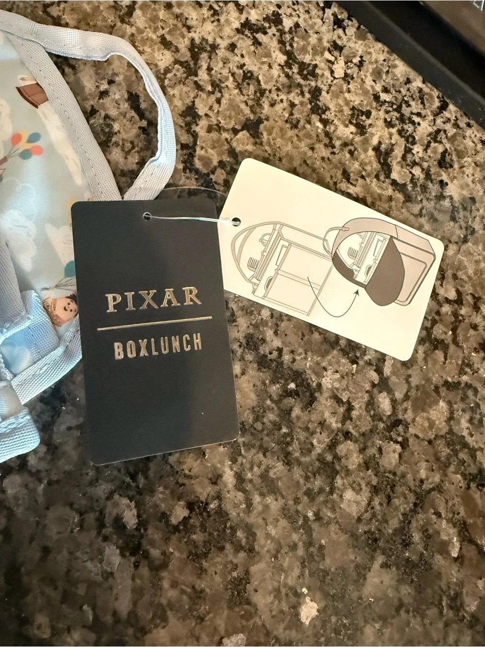 Disney Up bag organizer Pixar box lunch
